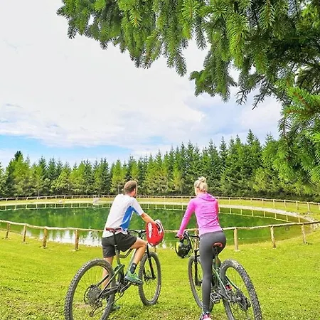 아파트 Perunika *