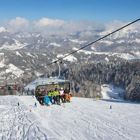 Perunika Apartment Cerkno