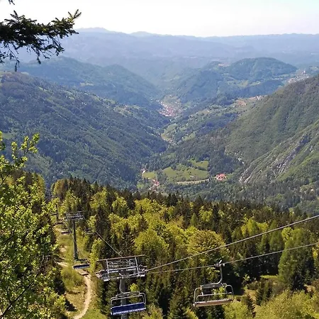 Perunika Cerkno
