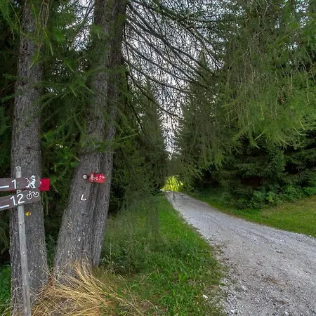 Perunika Apartment Cerkno