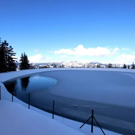 Perunika * Cerkno