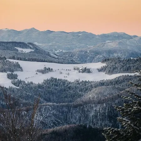 Perunika * Cerkno