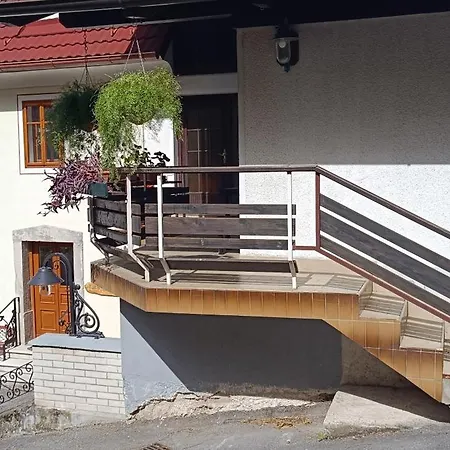 Perunika * Cerkno